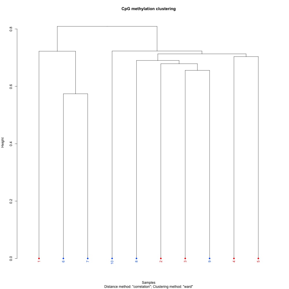 dendogram