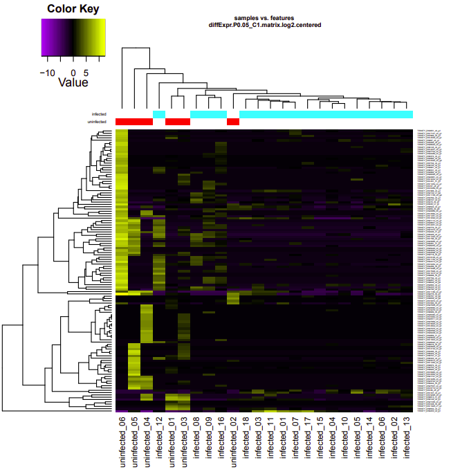 infected-uninfected deg heatmap