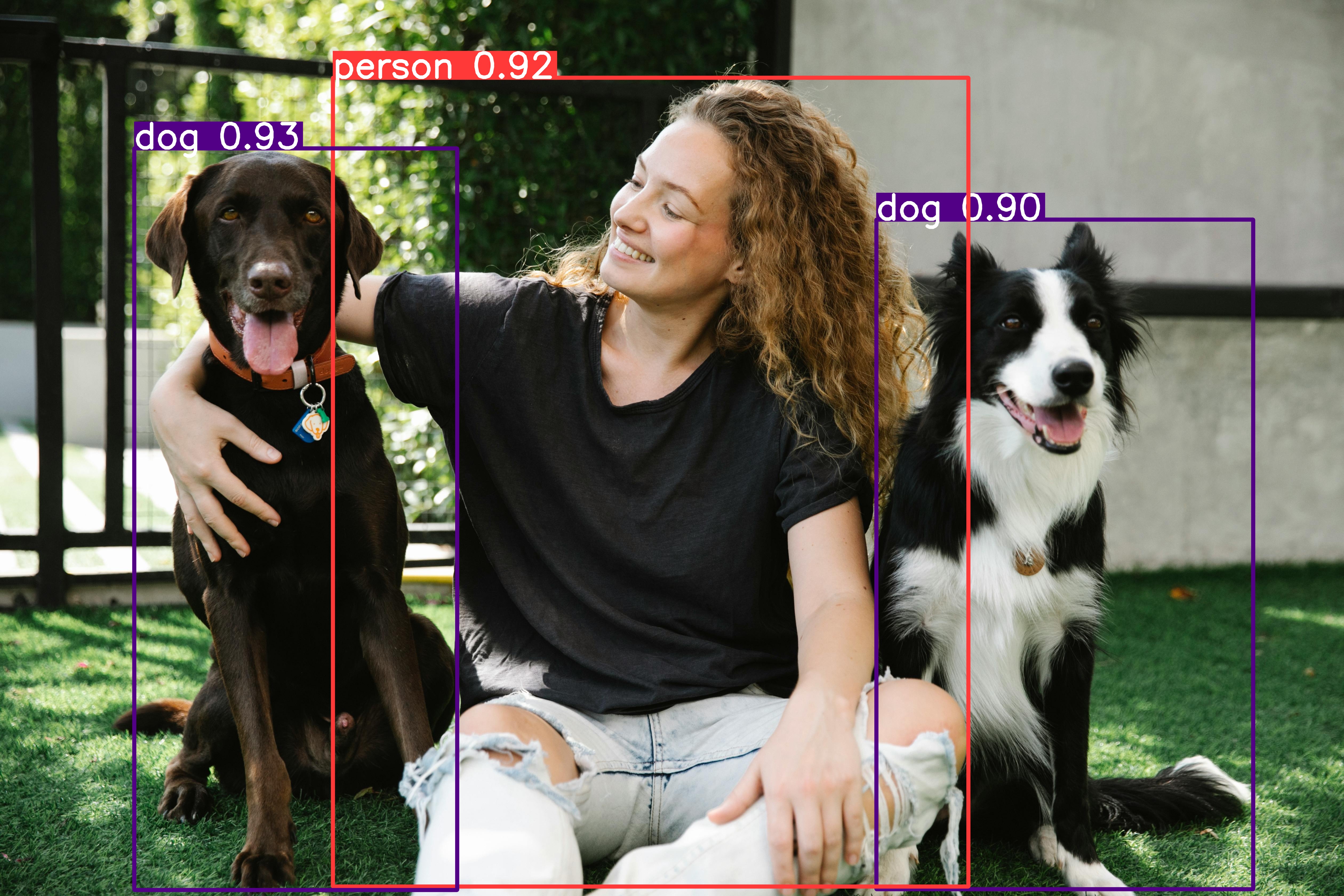 Dog detection with the default yolo model