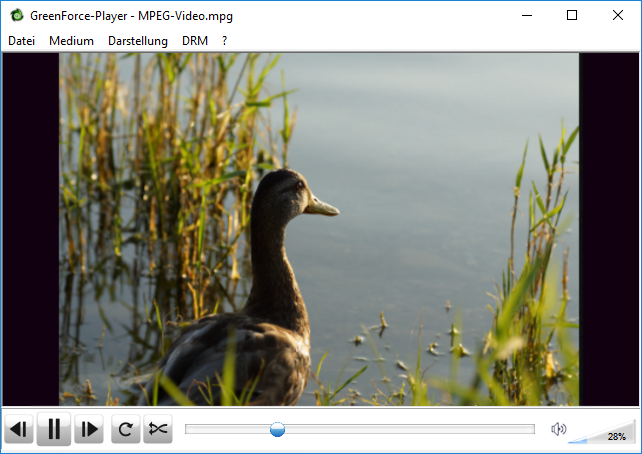 GreenForce-Player Windows 11 download