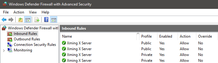 Enable Inbound Rules for Both Public Xming X Servers