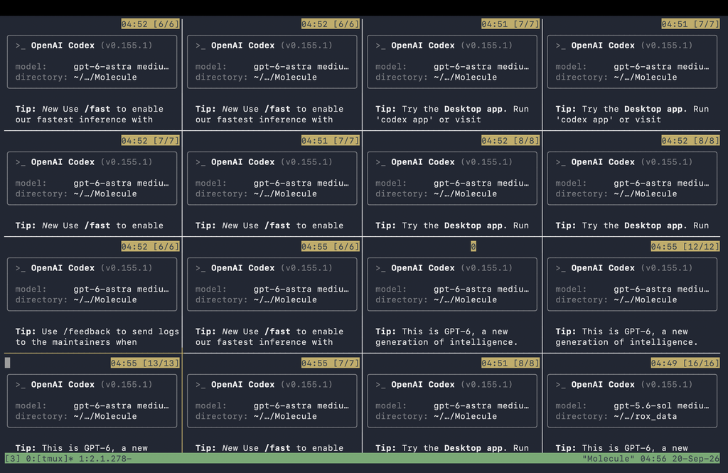 OpenAI Codex usage while building Molecule