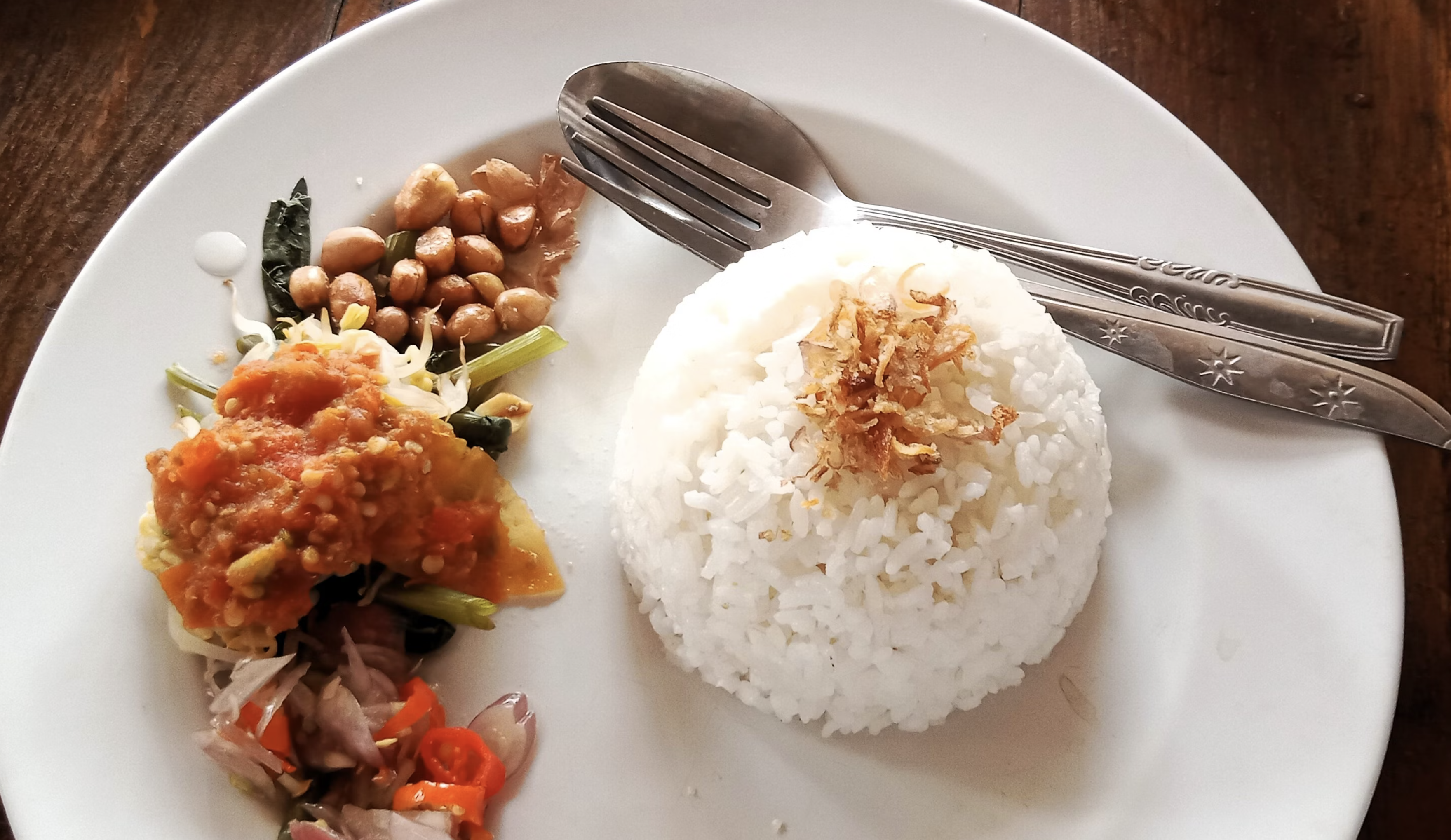 rice-plate-balanced-diet