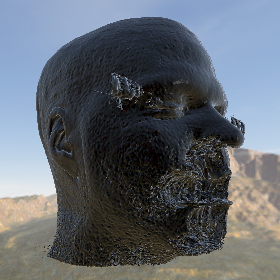 Photorealistic rendering of a head