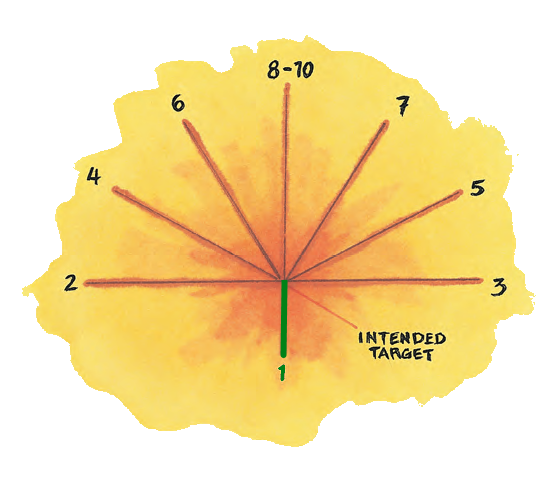 scatter diagram