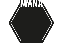 derived stats: mana
