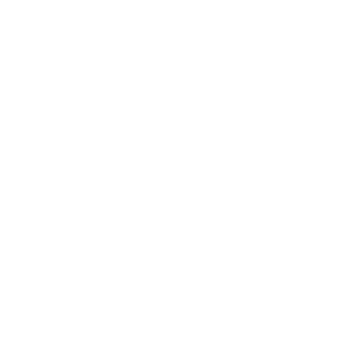 bullets