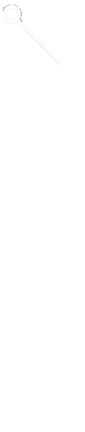 Straight line with circle at the top facing left.
