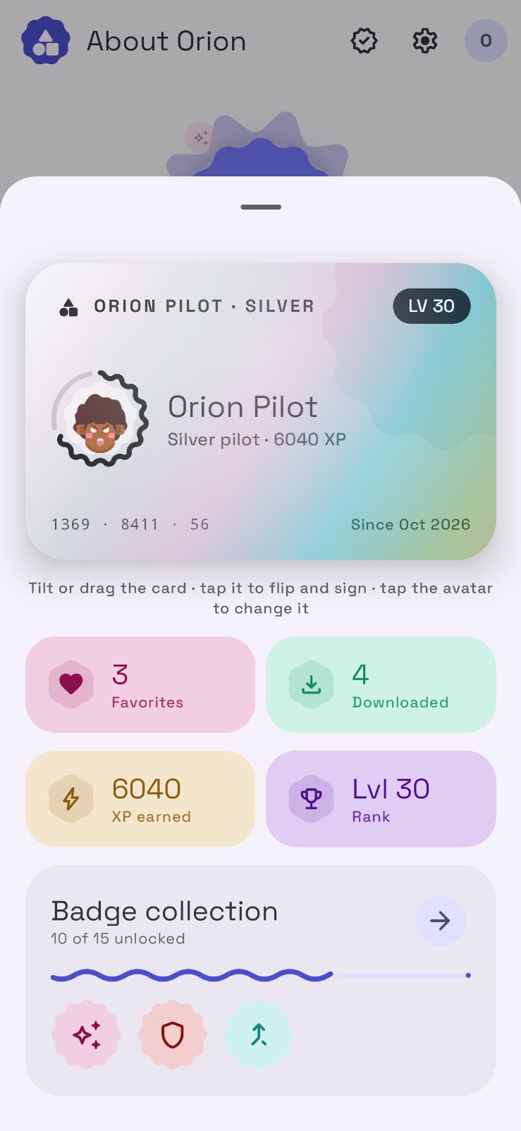 Pilot profile