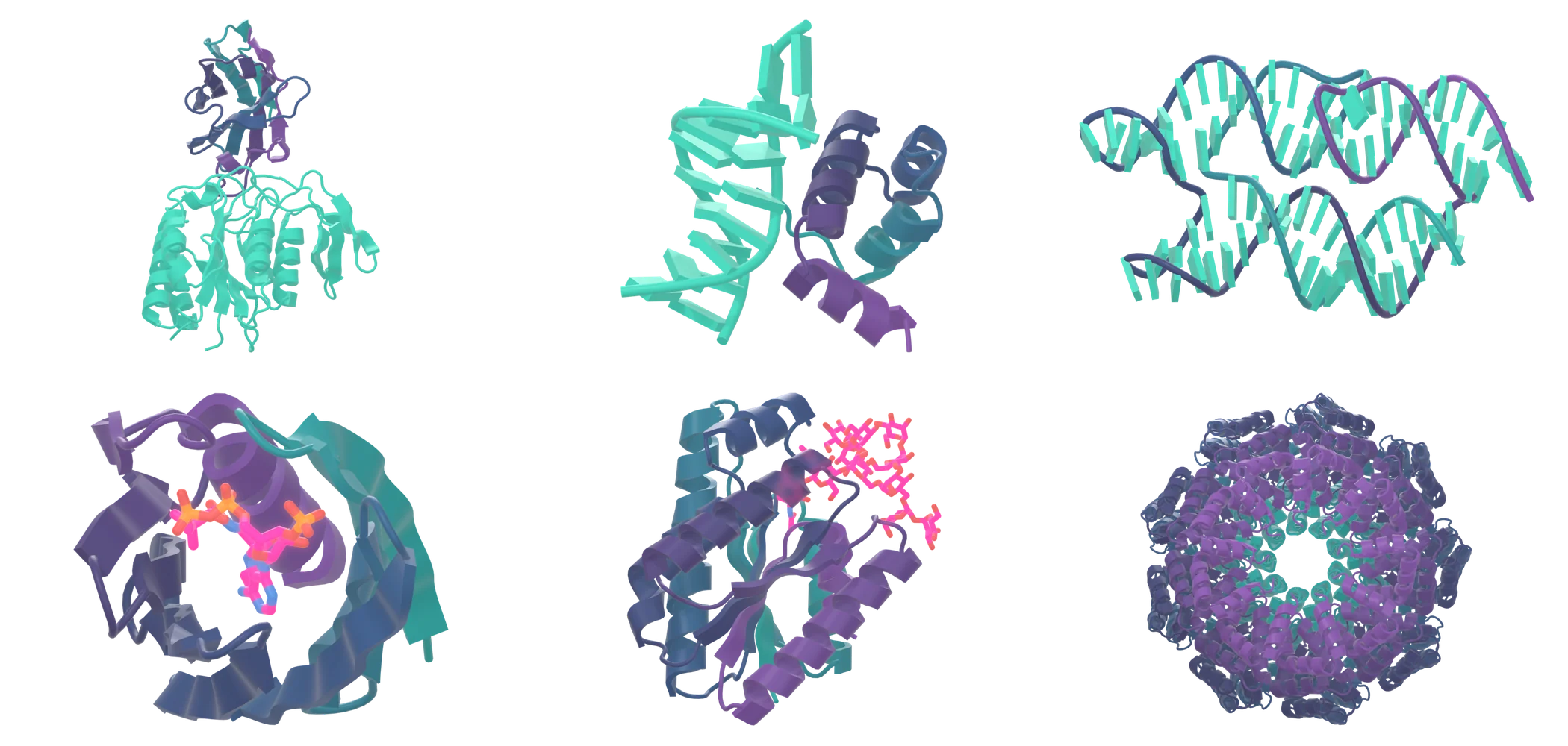 Nanobody complex, protein–DNA binder, RNA pseudoknot, ligand pocket, glycan complex, and protein assembly.