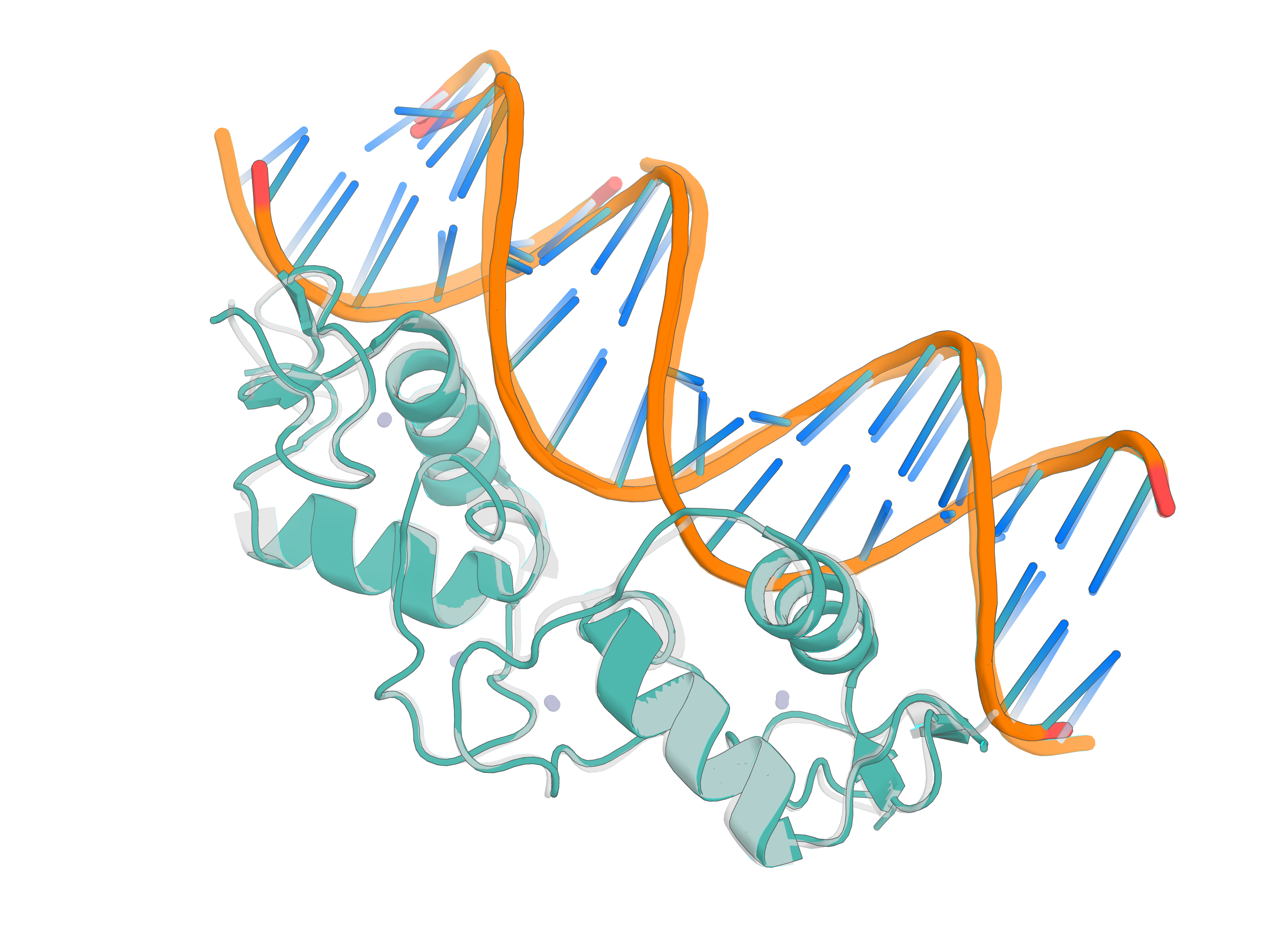 Protein-DNA complex prediction