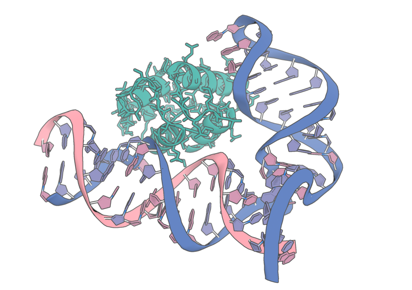 RFdiffusion3NA multi polymer
