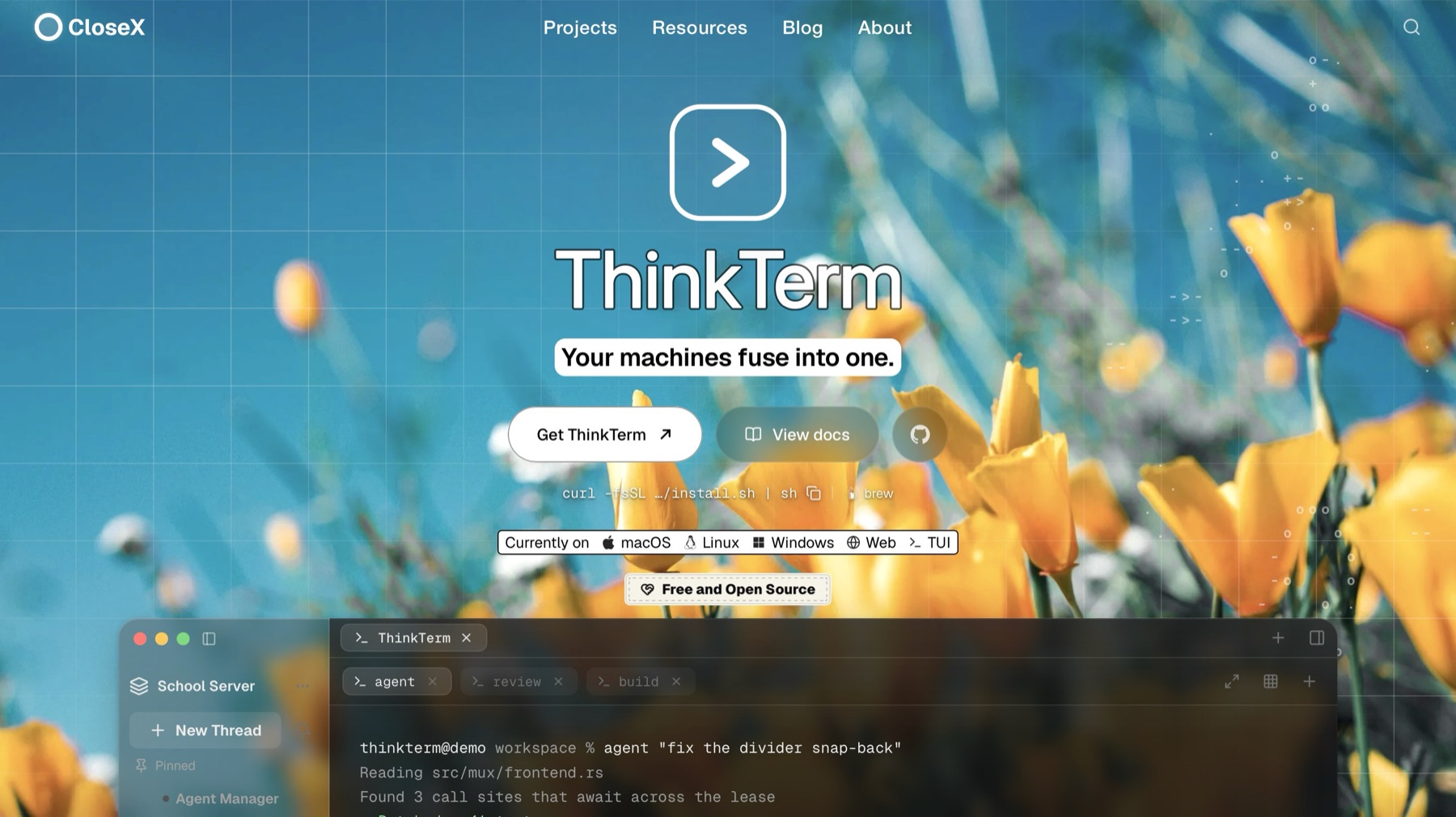 ThinkTerm