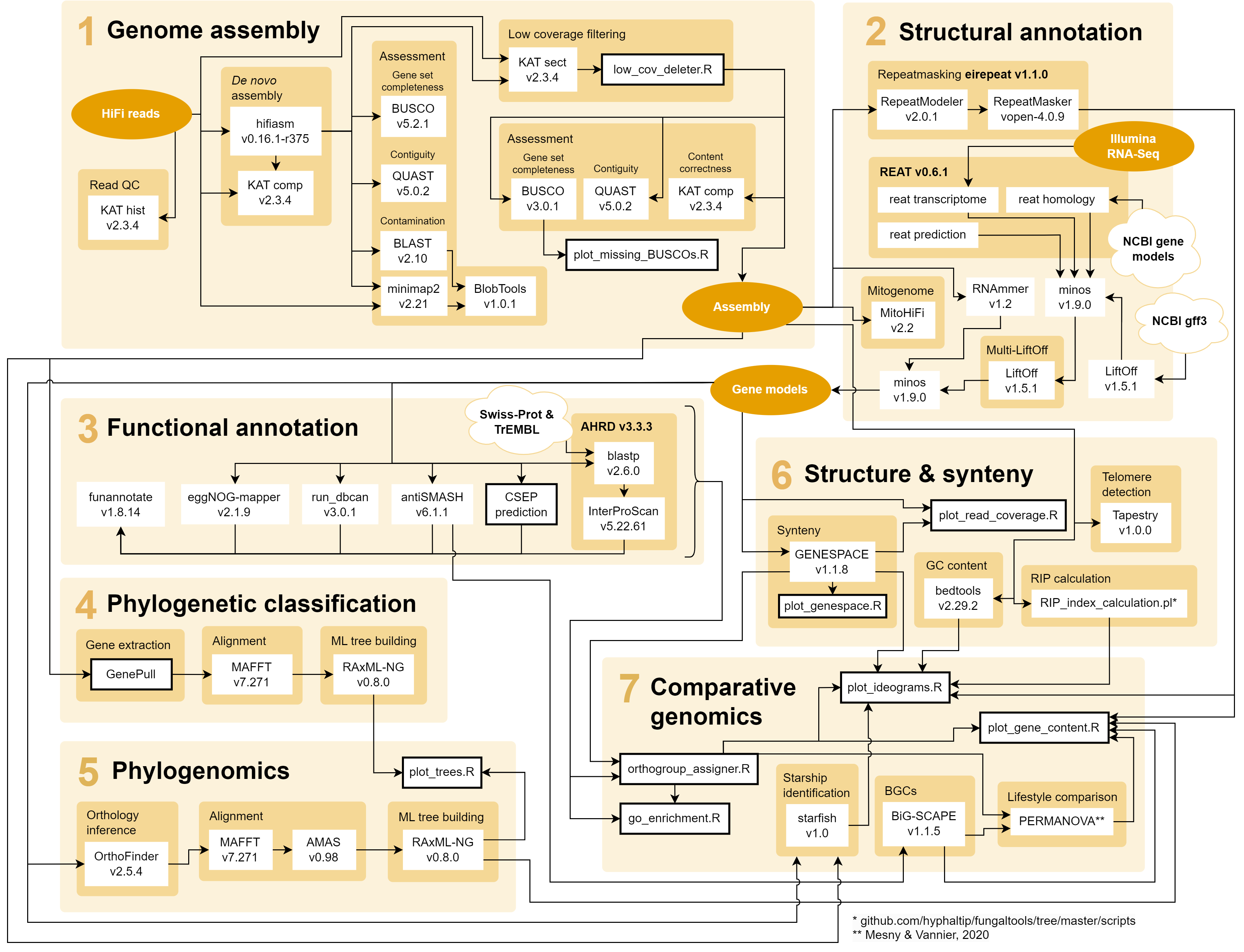 Workflow schematic