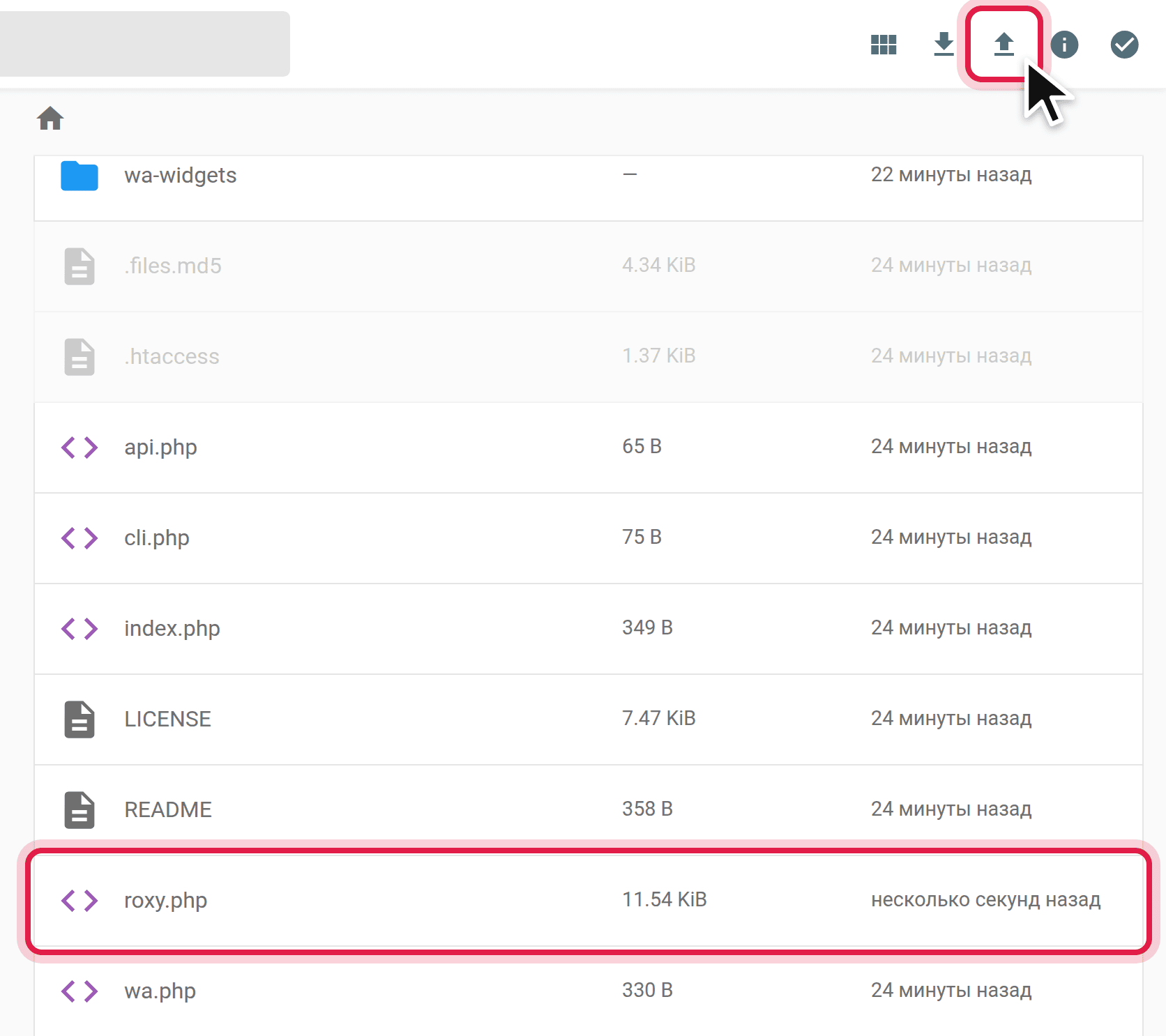 Uploading roxy.php next to index.php in a hosting file manager