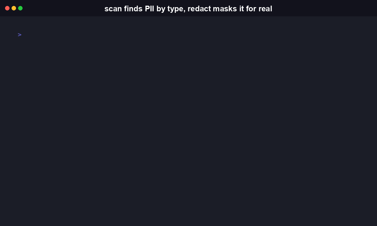 ReleaseGuard scan filtered to specific entity types with --entities and --json for structured output
