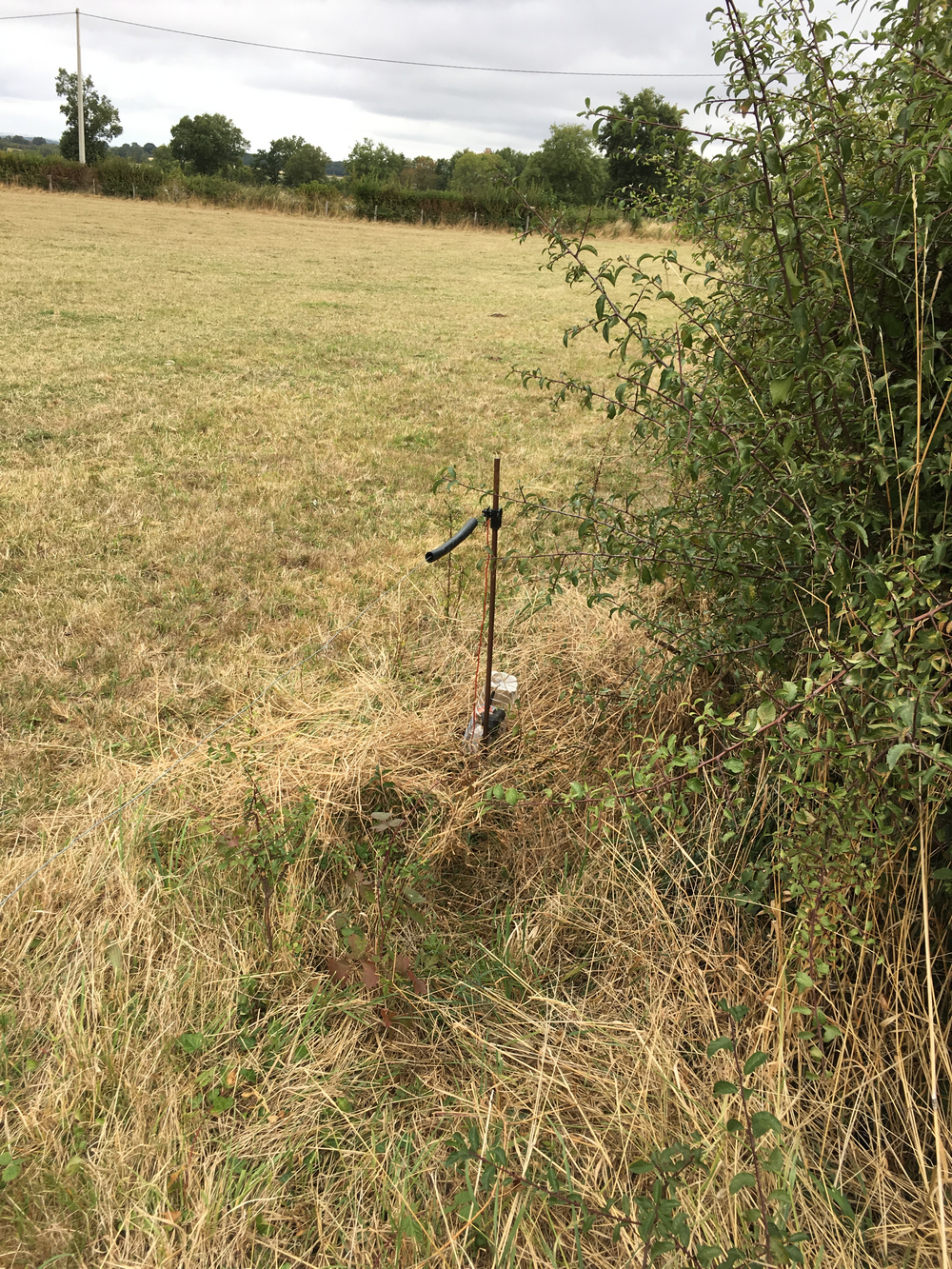 GitHub - Rufus31415/Connected-electric-fence-sensor: 🐄 Smart IoT sensor ...
