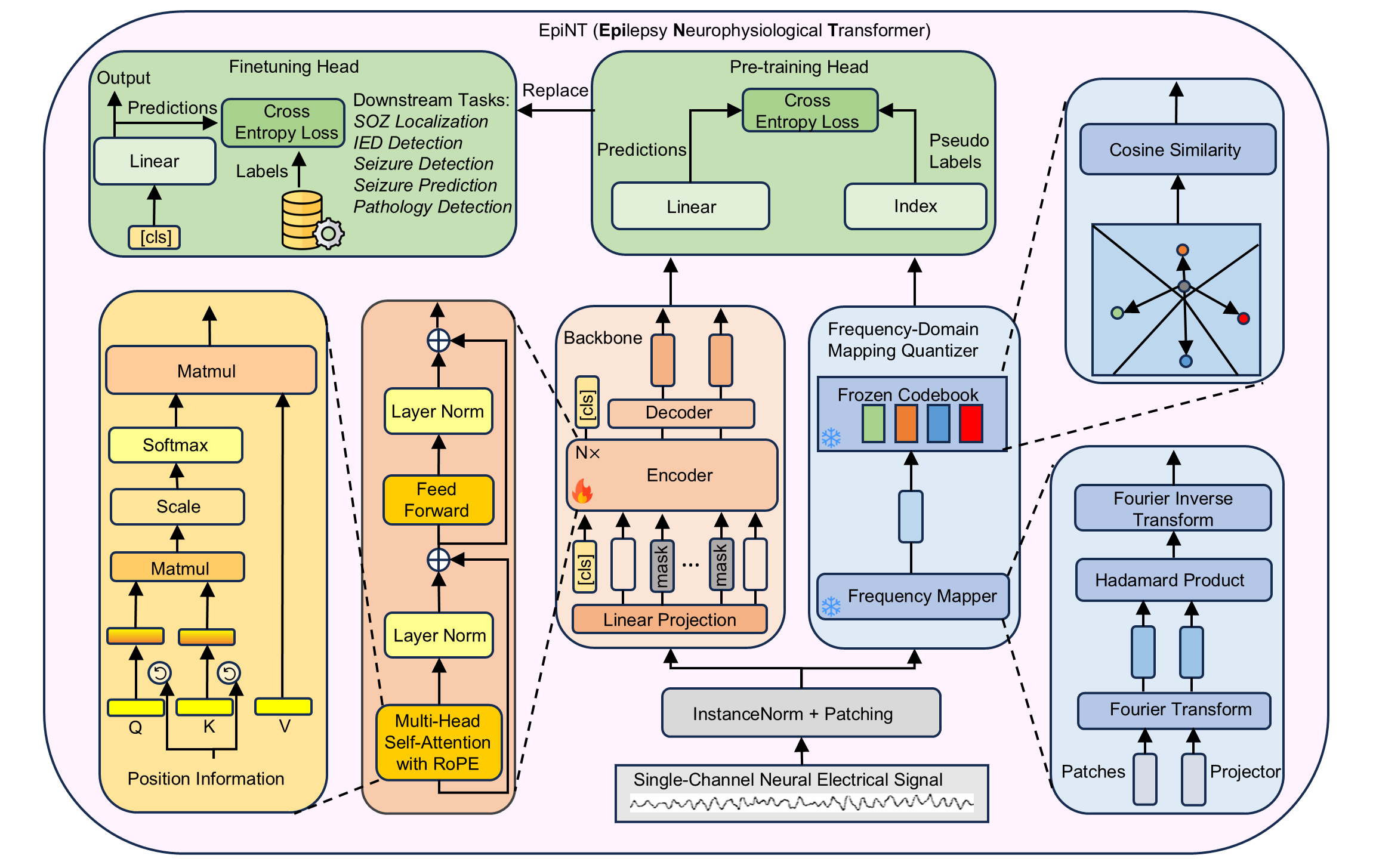 EpiNT architecture