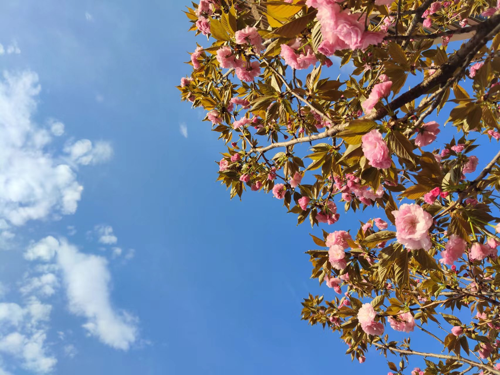 image-20240915084852334