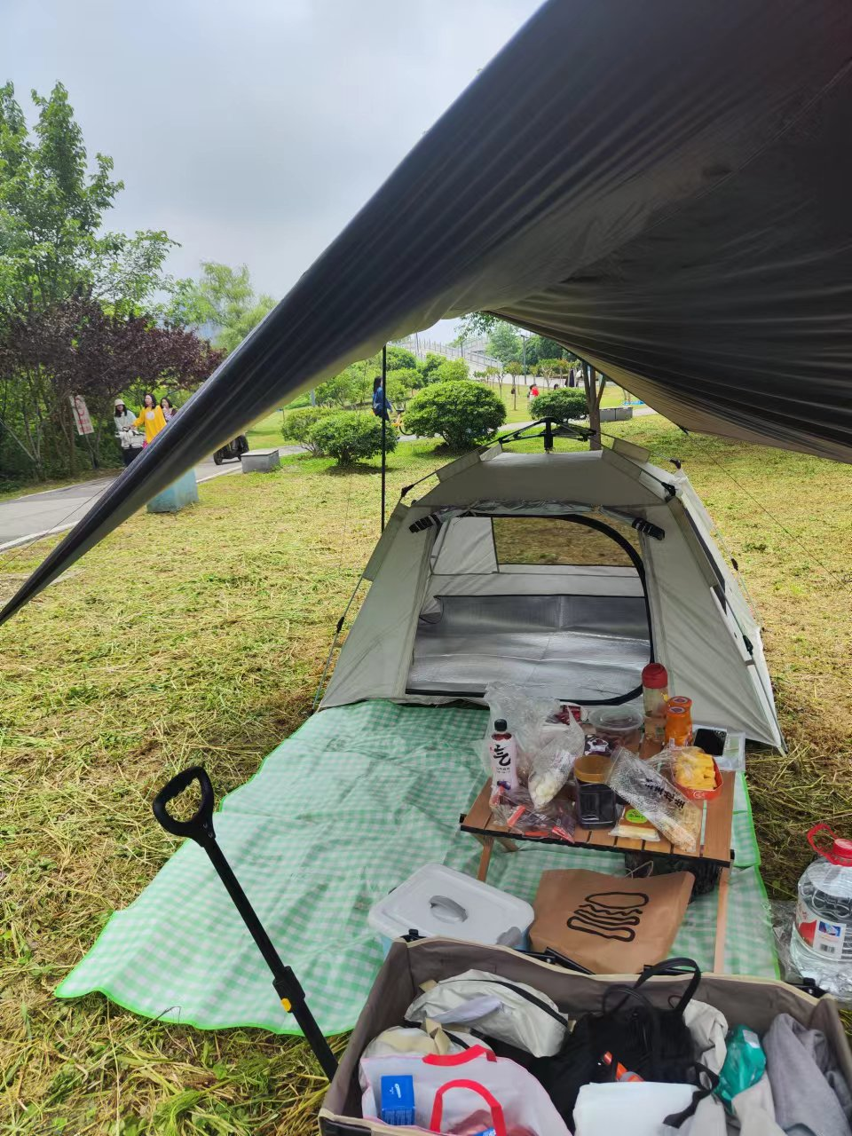 image-20240915084928829