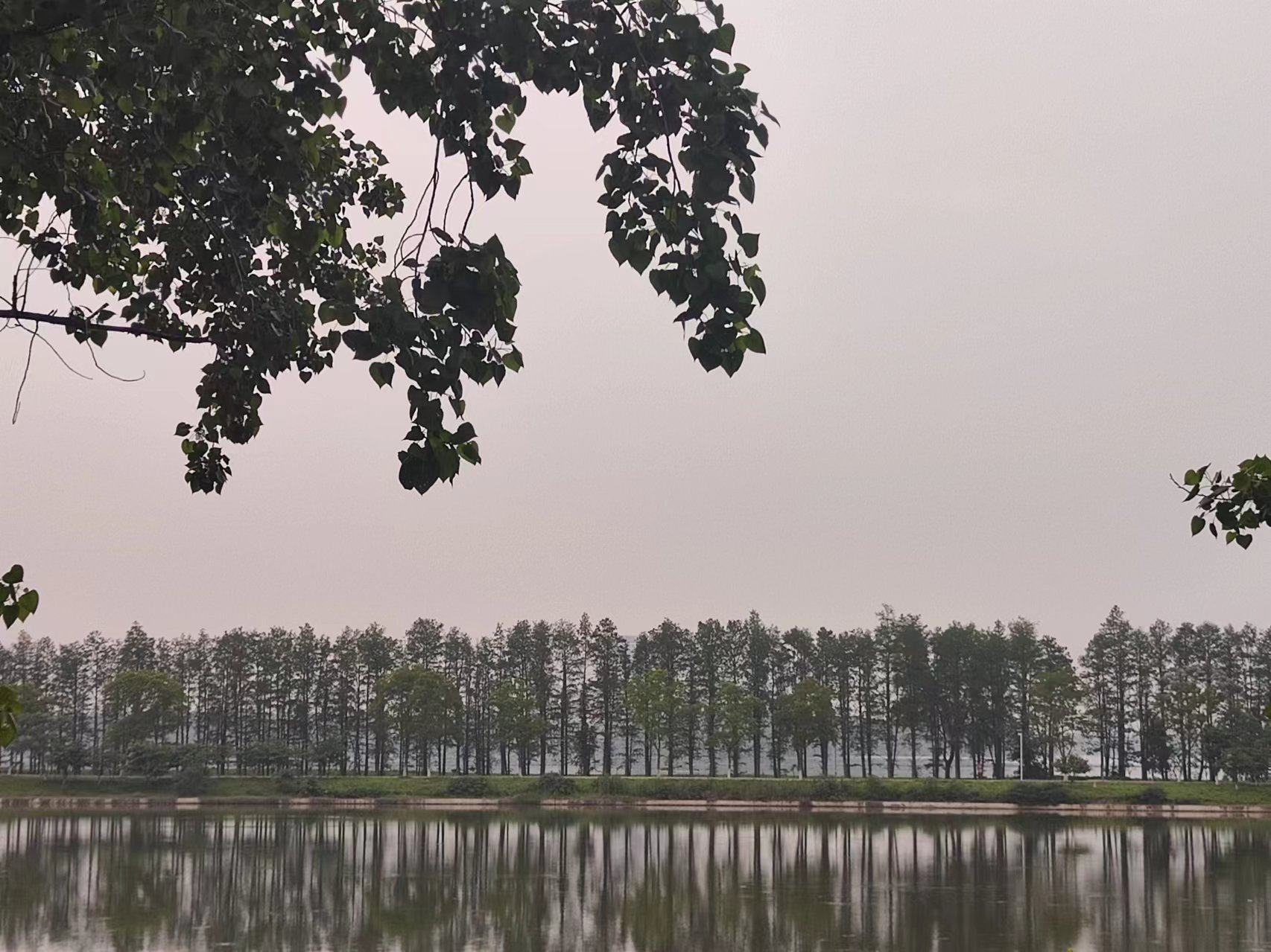 image-20240915084917085