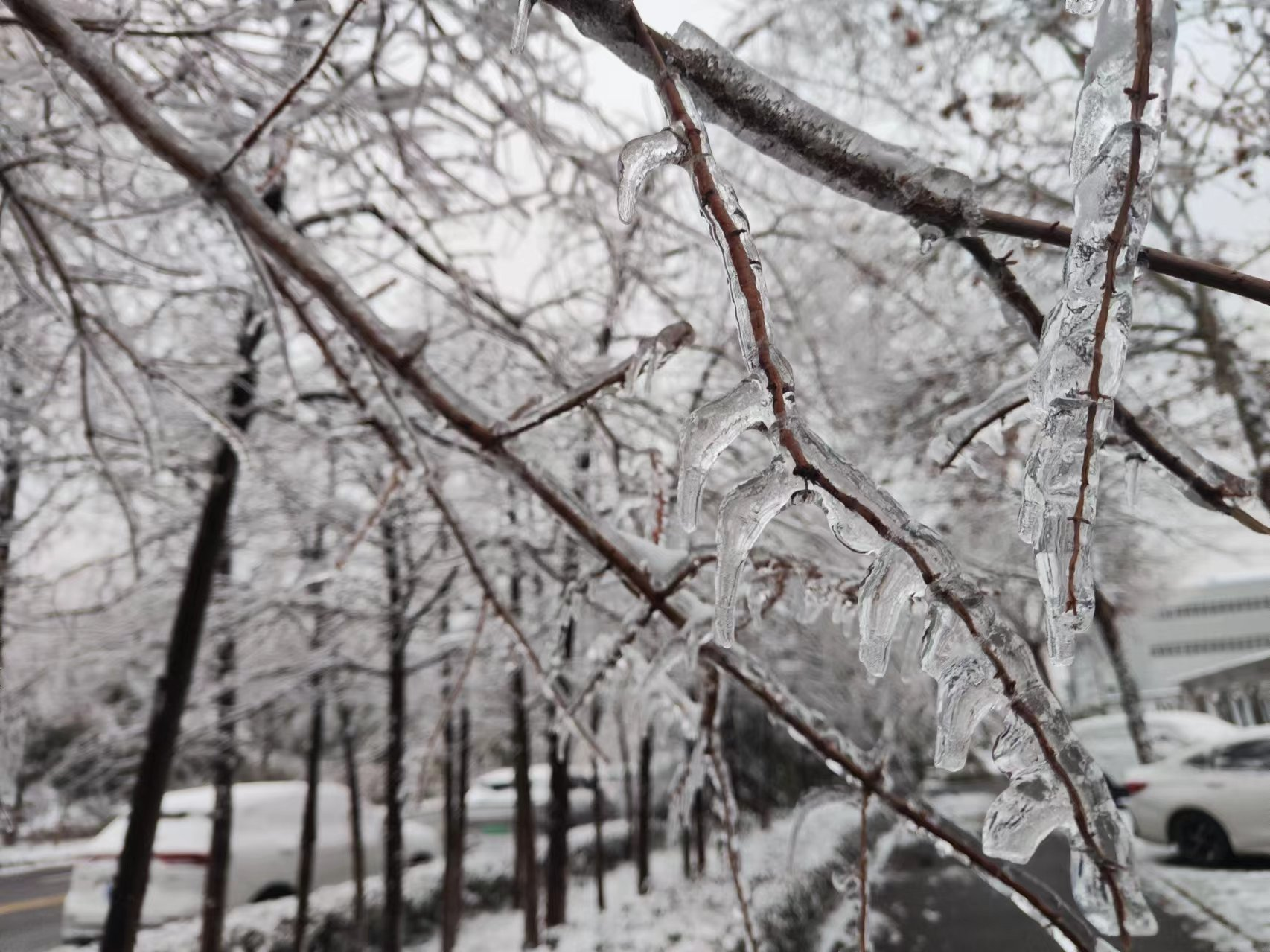 image-20240915123942087