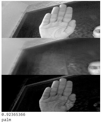 Palm Gesture (palm)