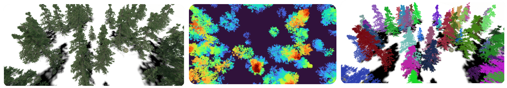 Forest generation