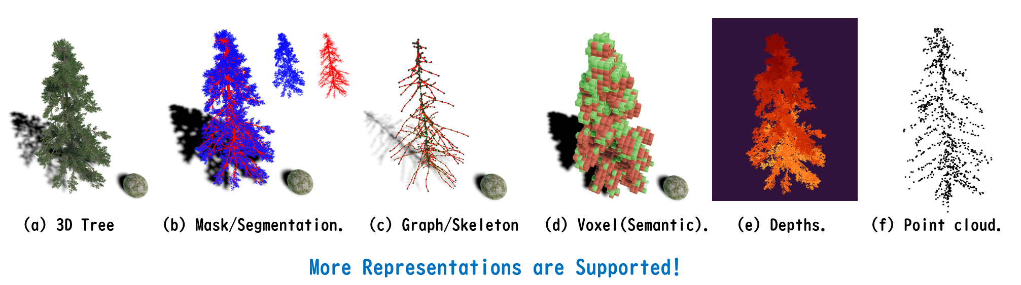 Data representation
