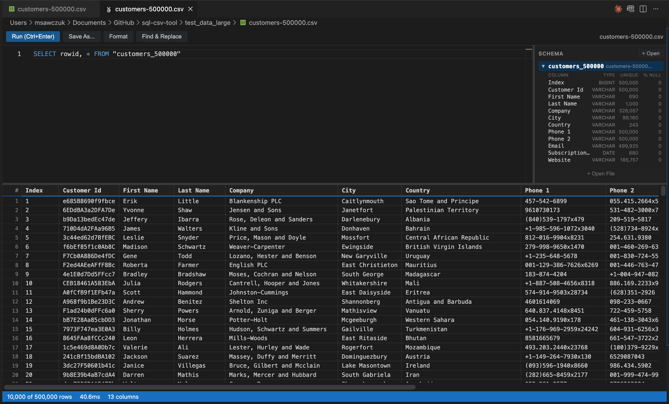 Full query interface with schema explorer, SQL editor, and results table