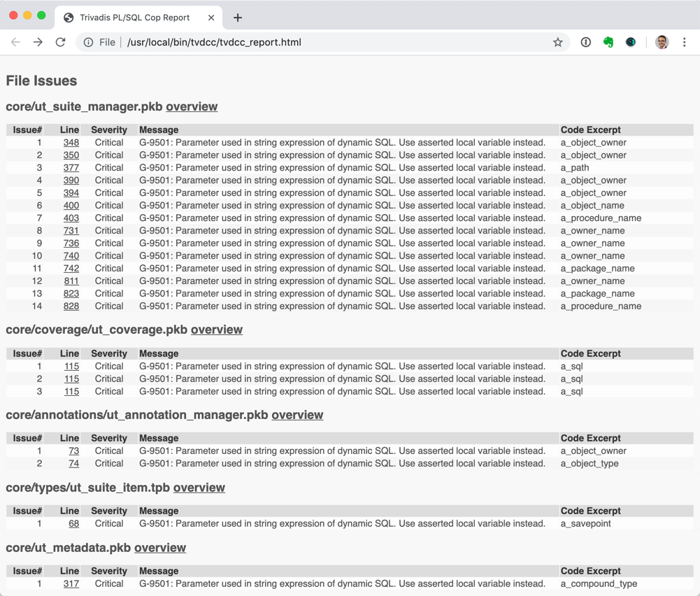 PL/SQL Cop Report - File Issues