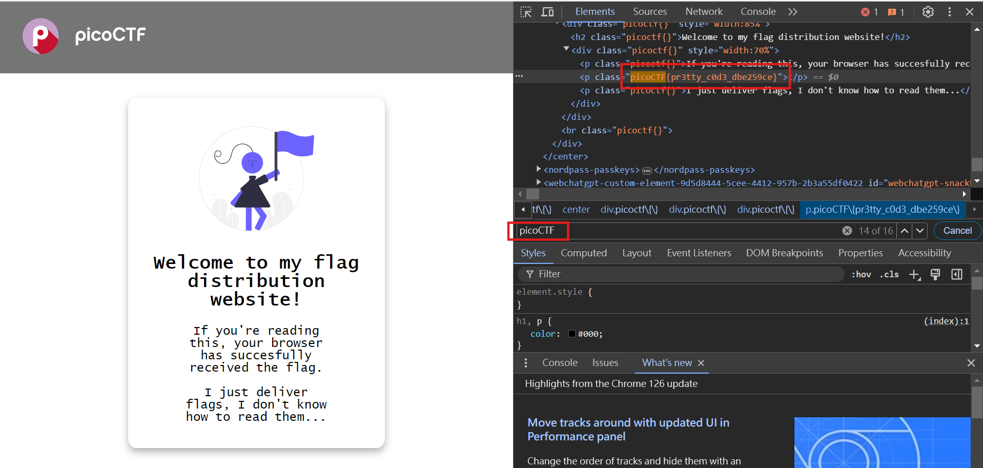 Search flag using developer tools