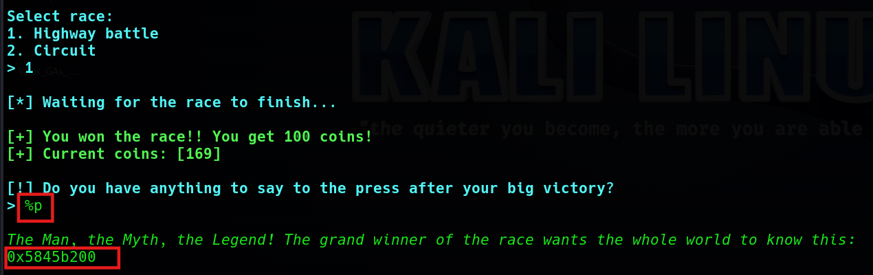 Format string vulnerability PoC