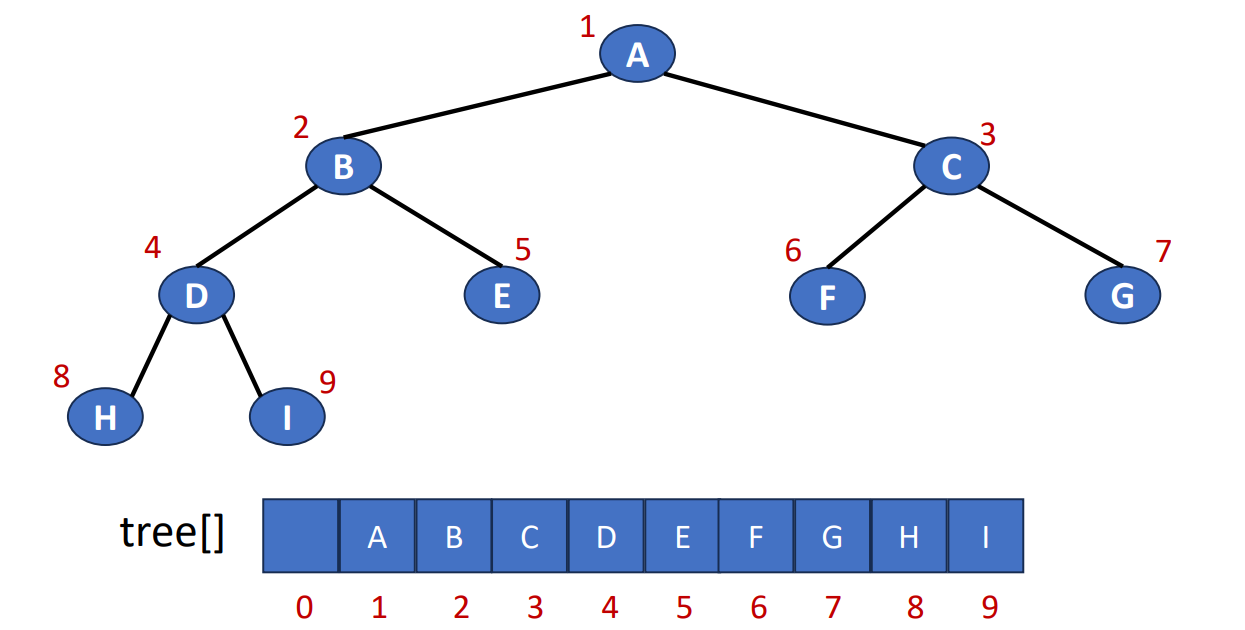 Array Representation