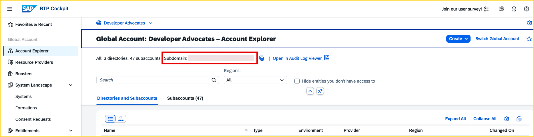 Global account subdomain