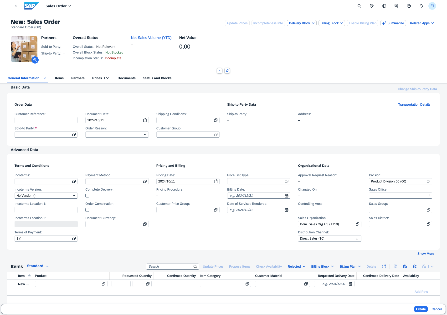 Screenshot of a Salesorder Input Mask