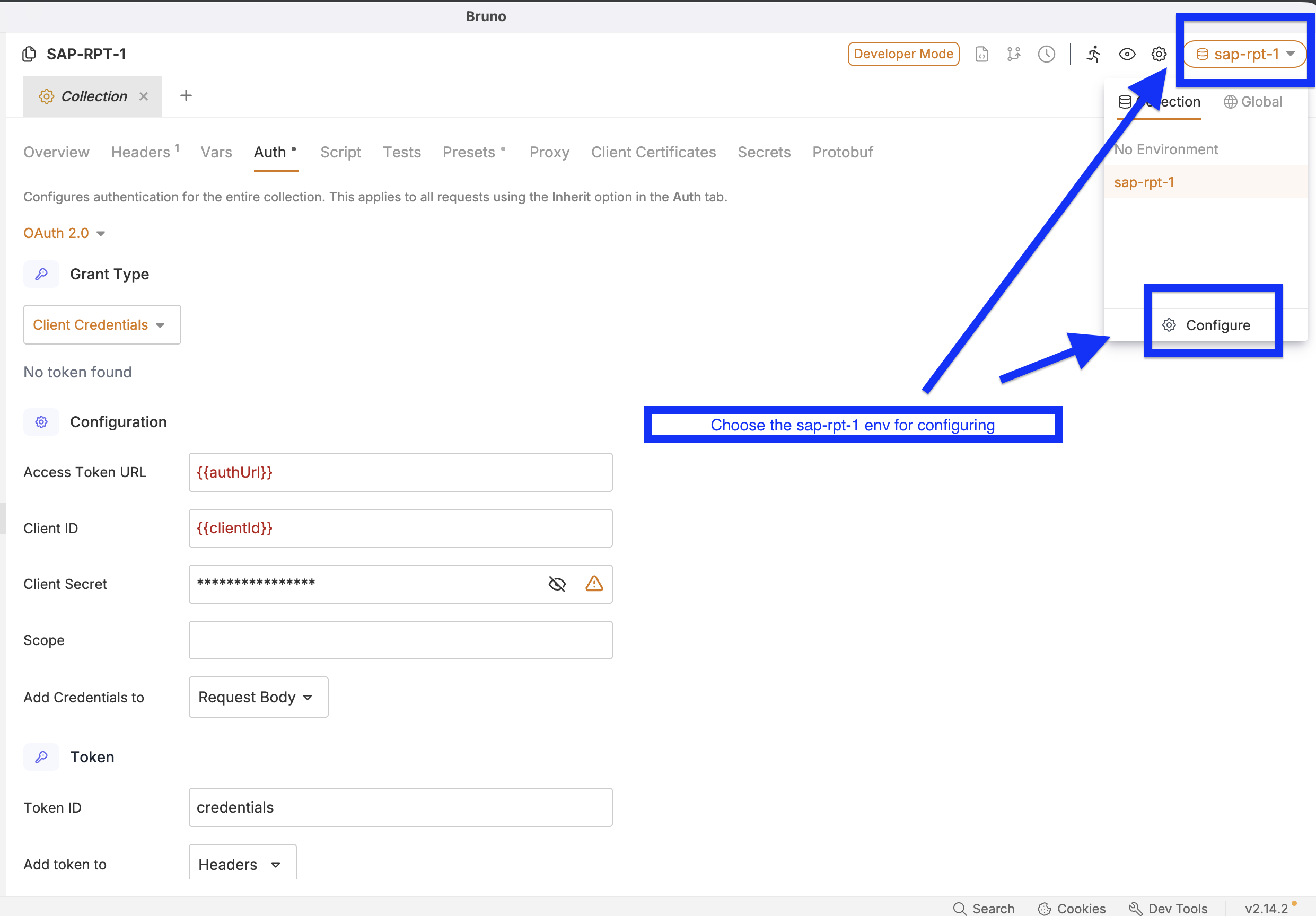 configure_environment