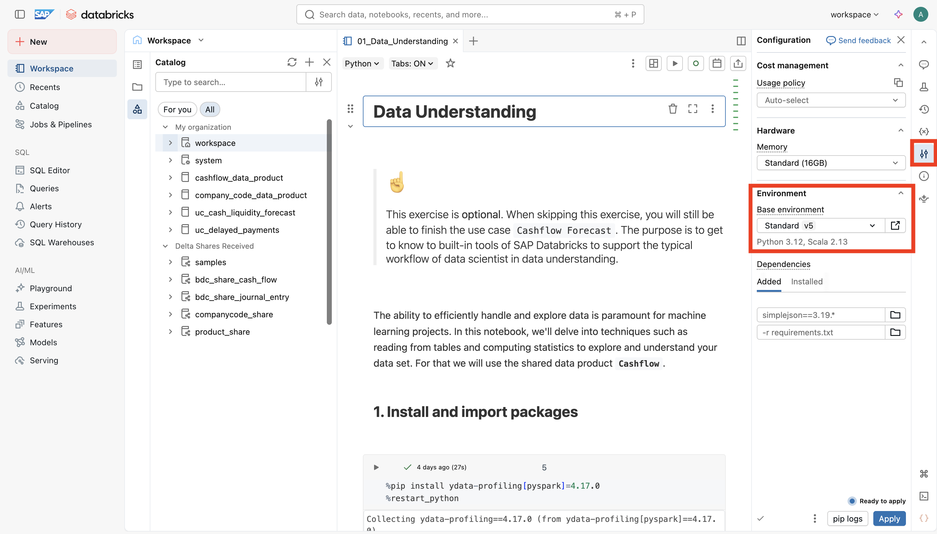 python_environment