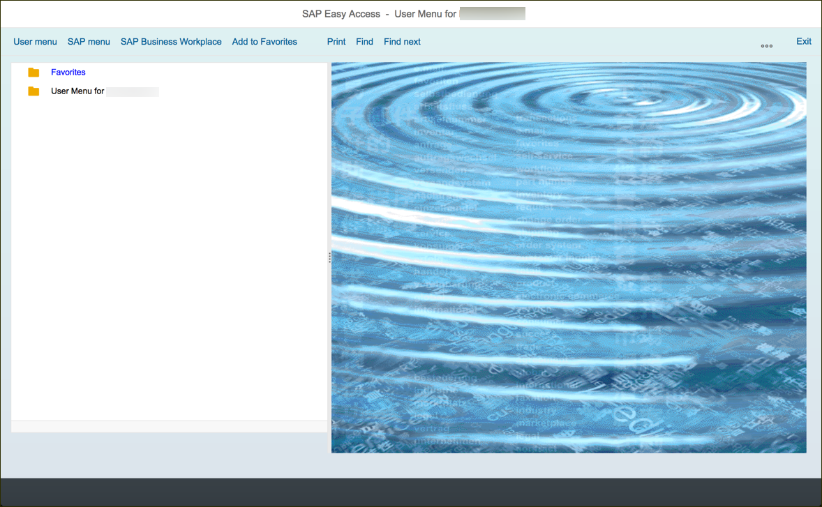 SAP NetWeaver Gateway Main Screen