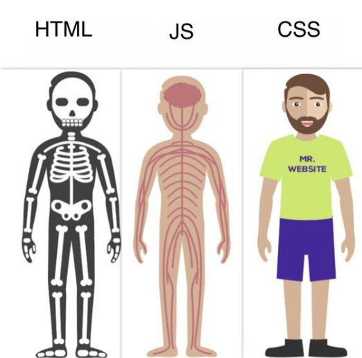 HTML,css,js