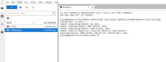 cloning ic-intro repository