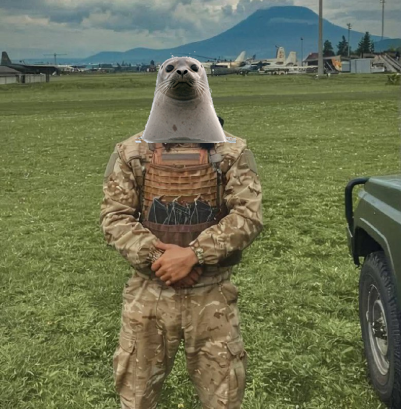 romanian_pmc_01.png
