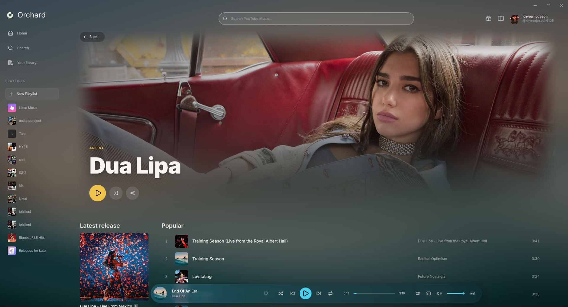 Artist page with popular songs and the latest release