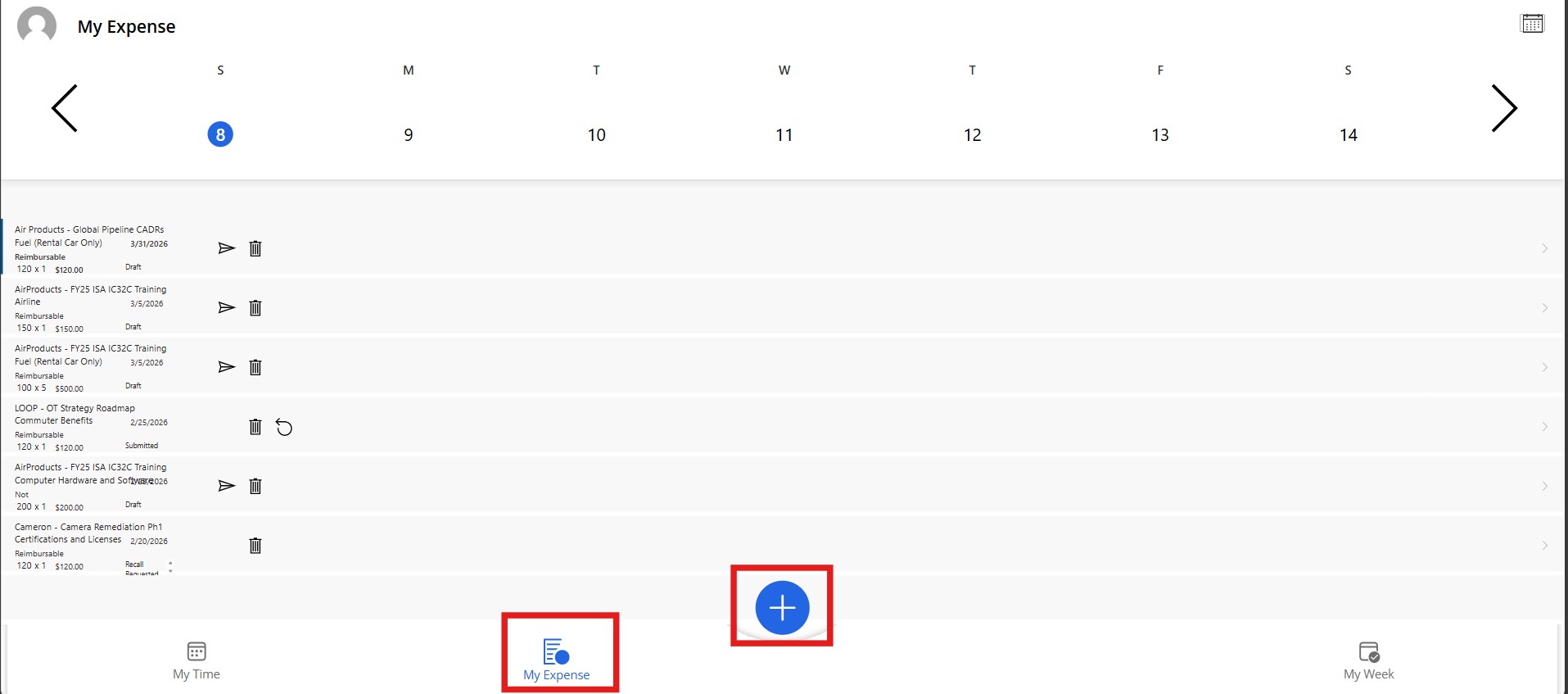 Creating a new Expense Entry on Canvas App Interface - 1