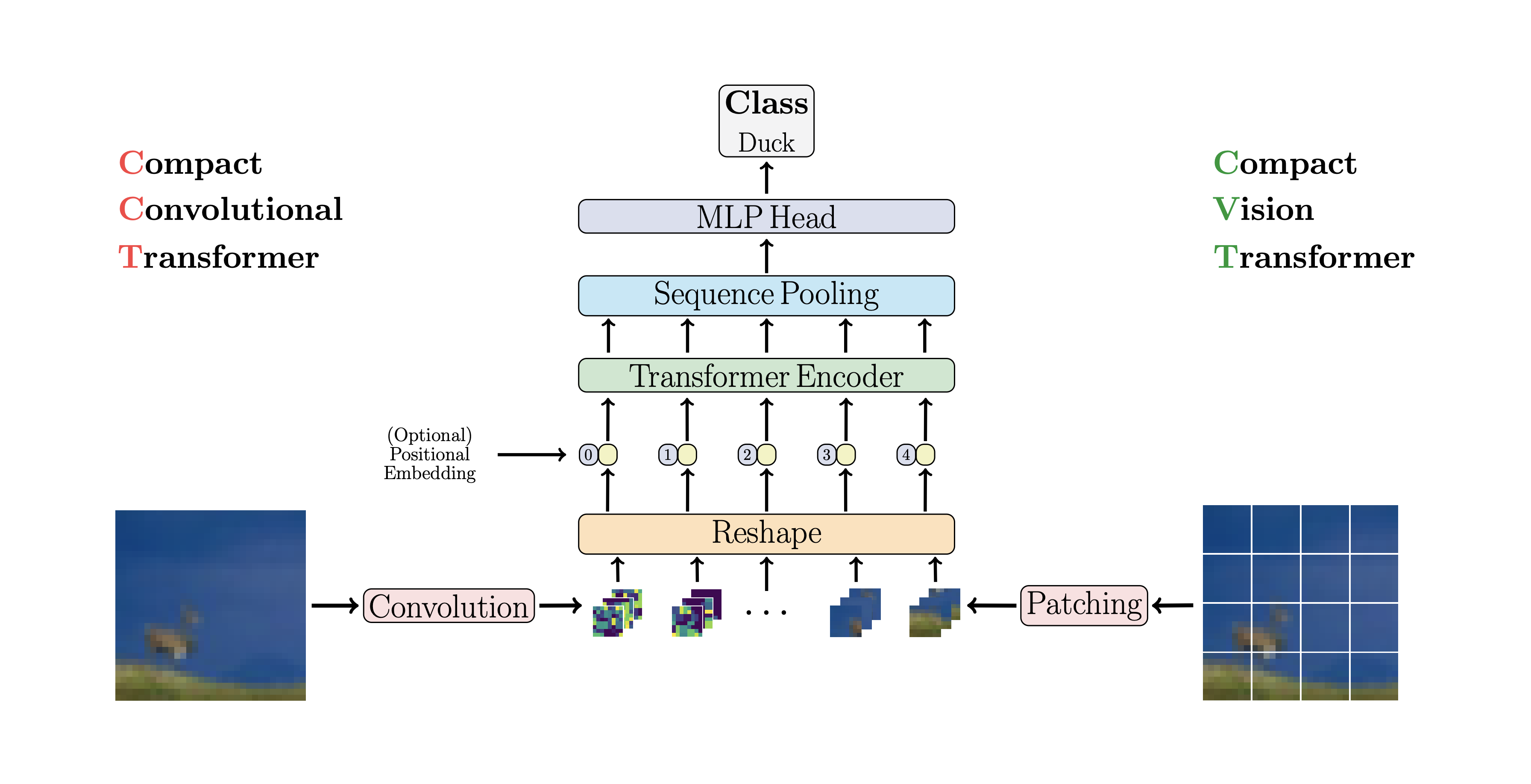 Vision Transformer PYTORCH. Vision Transformer (Vit). Positional encoding Transformer. Positional encoding Transformer Formula.