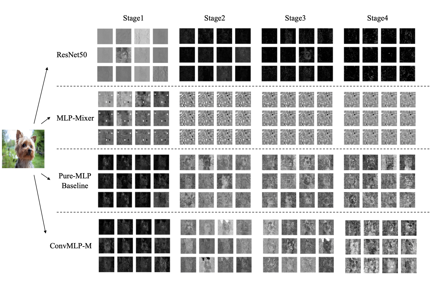 Feature map visualization