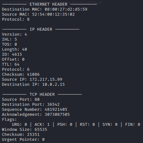 packetAnalyzer Screenshot 1