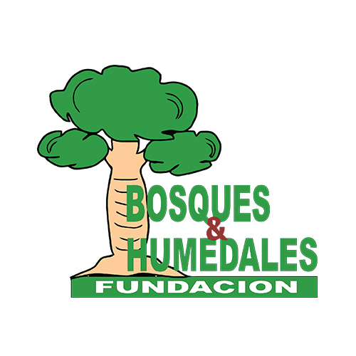 Fundación Bosques y Humedales image