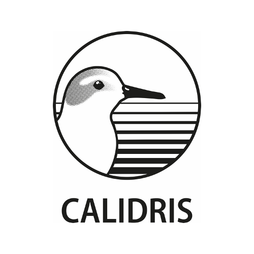 Asociación para el estudio y conservación de las aves acuáticas en Colombia - Calidris image