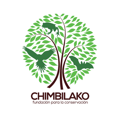 Fundación Chimbilako image